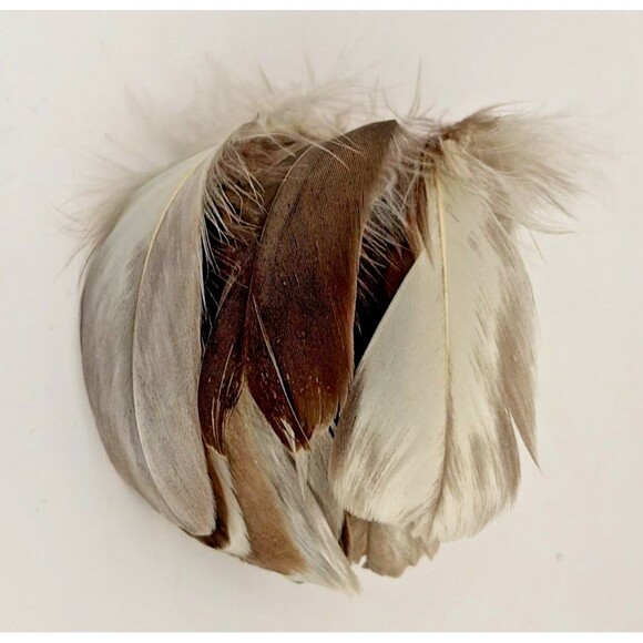 Vintage 1950s Gene Doris New York Black Velvet Fascinator Veiled Hat w/Feathers main image 9